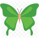 Swallowtail Green Butterfly  Icon