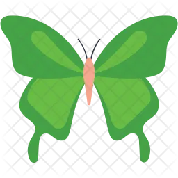 Swallowtail Green Butterfly  Icon