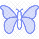 Swallowtail Insect Butterfly Icon