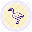 Swamphen Bird Water Icon