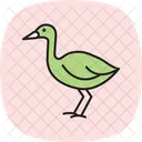 Swamphen Bird Water Icon