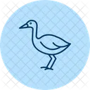 Swamphen Bird Water Icon
