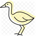 Swamphen Bird Water Icon