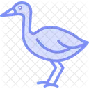 Swamphen Bird Water Icon