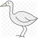 Swamphen Bird Water Icon