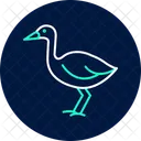 Swamphen Bird Water Icon