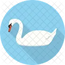 Swan Bird Animal Icon