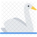 Swan Bird Duck Icon