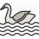 Swan Animal Beautiful Icon