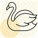 Swan Bird Elegant Icon