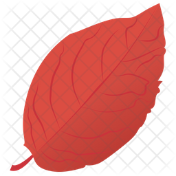 Sweet Birch Icon