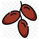 Sweet Fruit Natural Sweetener Medjool Dates Icon