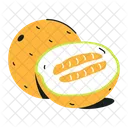 Cucumis Melo Sweet Melon Cantalupensis Icon
