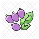 Sweet Peas Vegetable Organic Icon