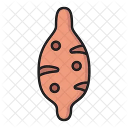 Sweet potato  Icon