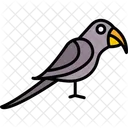 Swift Swallow Bird Icon