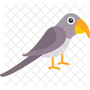 Swift Swallow Bird Icon