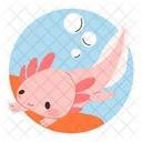 Swimming Axolotl  Icon