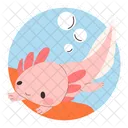 Swimming Axolotl  Icon