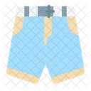 Swimming Trunks  Icon