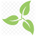 Swirl Leafy Floral Icon