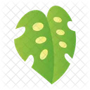 Swiss Cheese Plant アイコン