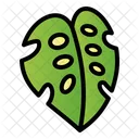 Swiss Cheese Plant Nature Plant Icon