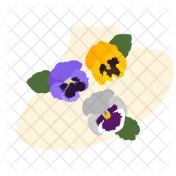 Swiss giants pansy  Icon