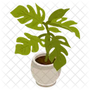 Swiss Leaves  Icon
