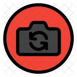 Switch camera  Icon