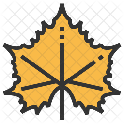 Sycamore Icon
