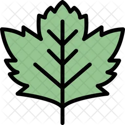 Sycamore leaf  Icon