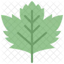 Sycamore leaf  Icon