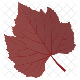 Sycamore Leaf Icon