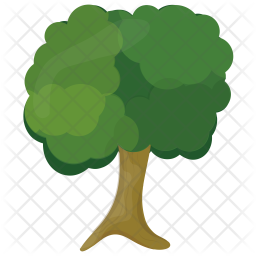 Sycamore Tree Icon - Download in Flat Style