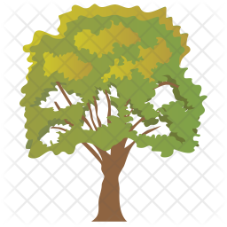 Sycamore Tree Icon - Download in Flat Style