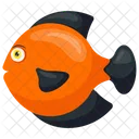 Symphysodon Discus Orange Icon