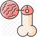 Syphilis Geschlechtskrankheit Bakterium Symbol