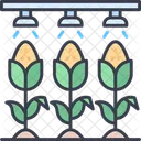 Systeme Dirrigation Arrosage Gouttes Icône