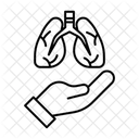 Système respiratoire  Icône