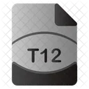 T12 File  Icon