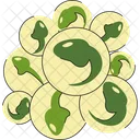 Tadpole Embryo Cluster  Icon