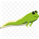 Tadpole Growing Legs  Icon