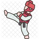 Taekwondo Kick Fighter Icon