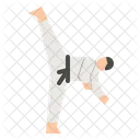 Taekwondo Artes Marciales Marcial Icono