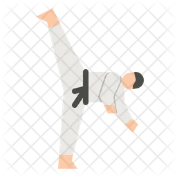 Taekwondo  Icon