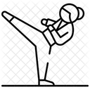 Taekwondo Icon
