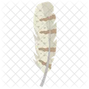 Tail Feather Feather Plumage Icon