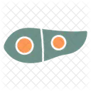 Tail Light Car Car Parts Icon