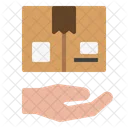 Take Package Hand Icon